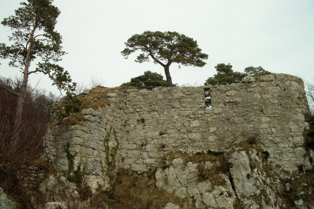 Ruine Rifenstein 3 1024
