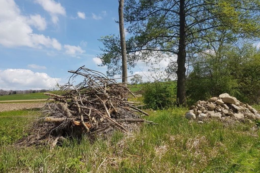 Fachkompetenz 6 1024